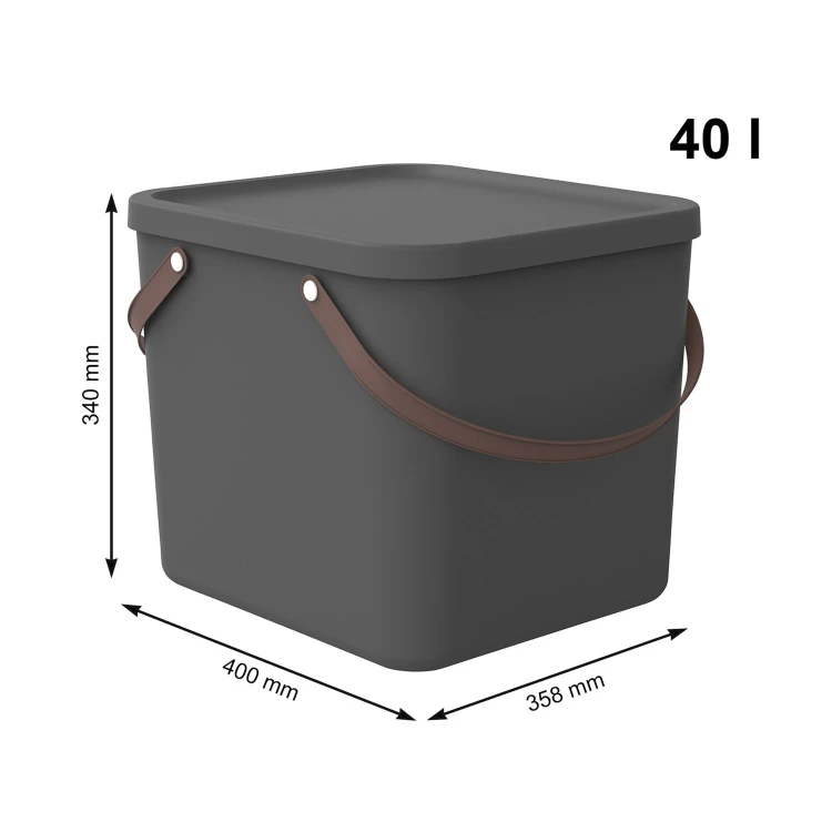 albula_40_ant-3.jpg