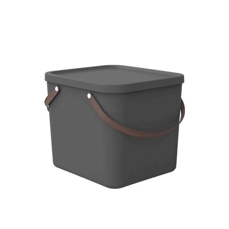 albula_40_ant-1.jpg